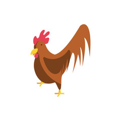cute chicken on white background