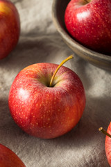 Raw Red Organic Gala Apples