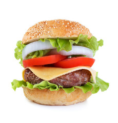 Burger with beef, tomato and onion