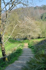 Le parc du château de La Roche-Jagu en Bretagne