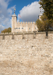 Obraz premium Tower of London