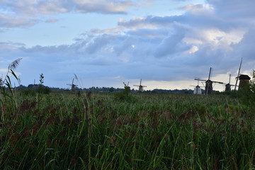 Wiatraki na polderach Holandii w Kinderdijk © W Korczewski