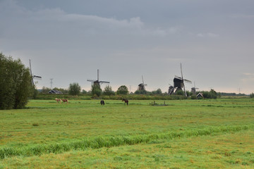 Wiatraki na polderach Holandii w Kinderdijk © W Korczewski