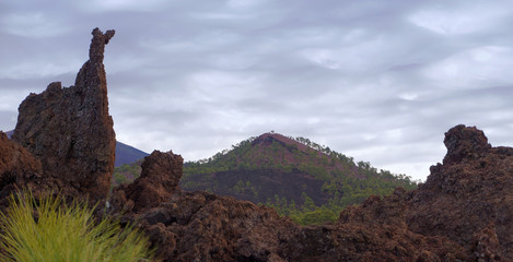 Fototapeta na wymiar Teneriffa - Teide Nationalpark - La Orotava