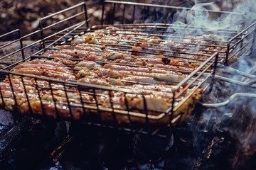 Summer nature grill bbq meat,  party concept.