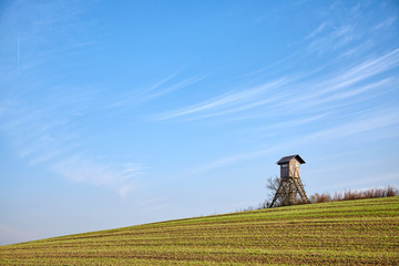 Farmland with elevated wooden hunting blind in warm morning sunlight.