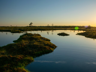 Fototapeta premium spring landscape in the swamp. small swamp lakes, mosses and swamp pines. small island of swamp water and beautiful reflections