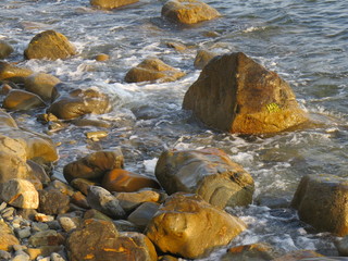 rocks in the water