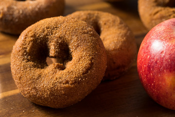 Homemade Cinnamon Apple Cider Donuts