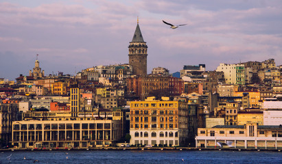Fototapeta premium Galata İstanbul