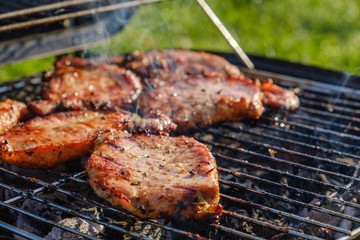 Summer nature grill bbq meat,  party spring.