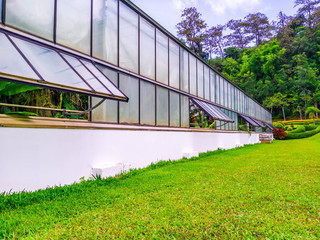 Obraz premium Greenhouse structure for planting flower trees with green garden