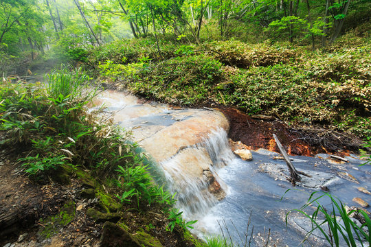 Hot water spring in the forest, Hokkaido, Japan