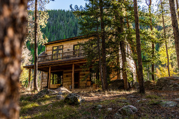 House in the Forest