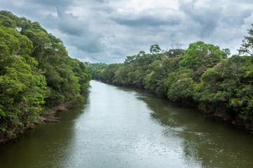 Fototapeta na wymiar Beautiful view of Acara river with trees, rain and storm clouds in the Amazon rainforest, Concept of environment, global warming, climate change, ecology, biodiversity, conservation and travel.