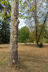 Everlasting forests at park Vrana - around former Royal Palace in city of Sofia