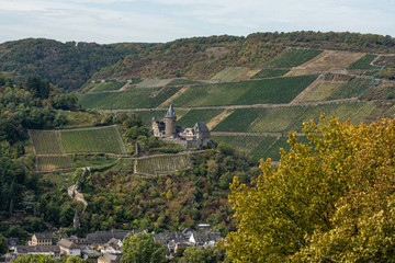 bacharach castle on rheinsteig with vineyards, germany