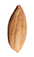 Almond isolated. Almonds on white background. Clipping path
