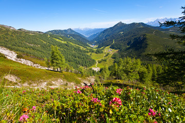 Zauchensee - Strimskogel - Steinfeldspitze - Schwarzkopf