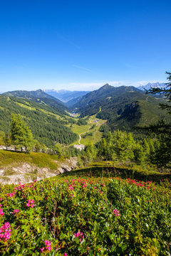 Zauchensee - Strimskogel - Steinfeldspitze - Schwarzkopf