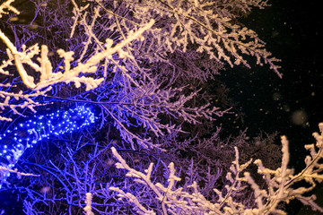 a night in a snow-covered park a strong wind of snow covers the branches of trees decorated with garlands of colored light bulbs