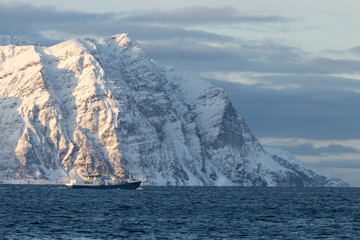 Obraz na płótnie Canvas Ship in the Fjord