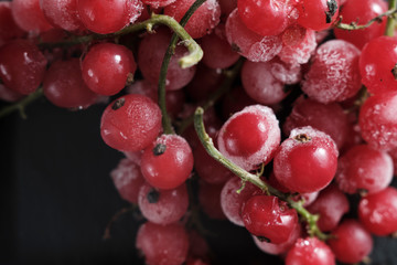 frozen berries red currants covered with hoarfrost scattered on a slate dish.