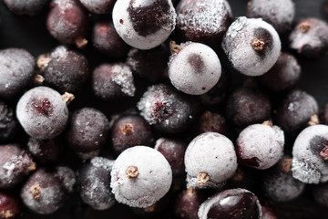 natural frozen blackcurrant berries covered with hoarfrost scattered on a slate dish.