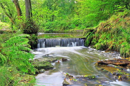 A color photo of a waterfall  at Cannop Ponds in the Forest of Dean, England.      