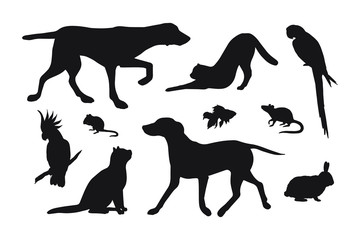 Vector set bundle of black different pets silhouette isolated on white background