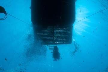 Scuba diver and dive boat 
