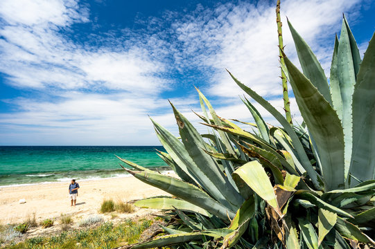 Agarve mit Strand und Meer im Hintergrund