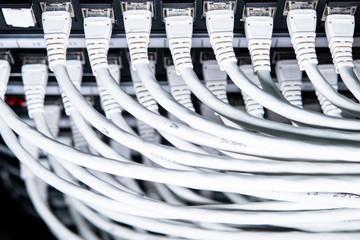 lan cables on the panel