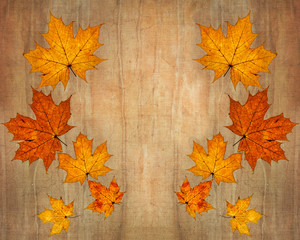 Naklejka na ściany i meble Autumnal background