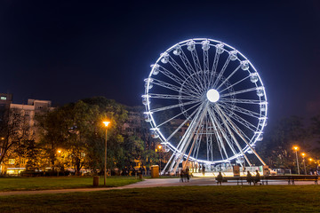 Housefly - Musca domestica close-up macro view while flying in smoke on head eyes and body with outstretched wings in the air on dark background.