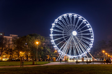 Housefly - Musca domestica close-up macro view while flying in smoke on head eyes and body with outstretched wings in the air on dark background.