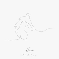 continuous line drawing. horse. simple vector illustration. horse concept hand drawing sketch line.