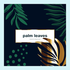 Vector tropical leaves in a delicate style in dark green and mint colors. Concept of post design for social network. Frame for text. Modern trendy vector floral patterns.