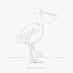 Naklejka premium continuous line drawing. pelican. simple vector illustration. pelican concept hand drawing sketch line.