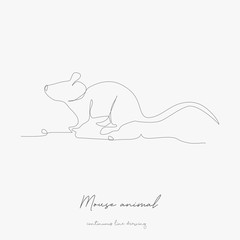 continuous line drawing. mouse animal. simple vector illustration. mouse animal concept hand drawing sketch line.