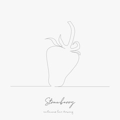 Obraz premium continuous line drawing. strawberry. simple vector illustration. strawberry concept hand drawing sketch line.