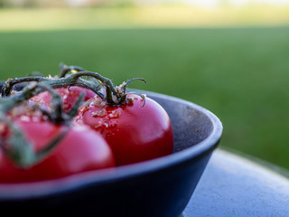 Grilltomaten
