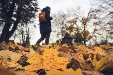 Mann geht mit einem Rucksack durch den Herbst dabei liegen Blätter im Vordergrund.