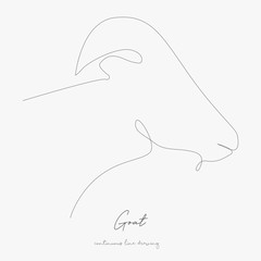 Fototapeta na wymiar continuous line drawing. goat. simple vector illustration. goat concept hand drawing sketch line.