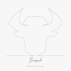 continuous line drawing. buffalo. simple vector illustration. buffalo concept hand drawing sketch line.