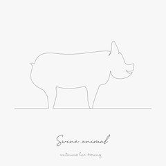 continuous line drawing. swine animal. simple vector illustration. swine animal concept hand drawing sketch line.