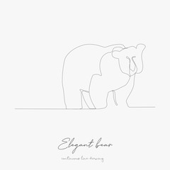 continuous line drawing. elegant bear. simple vector illustration. elegant bear concept hand drawing sketch line.