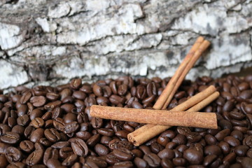 Cinnamon sticks on roasted coffee beans scattered next to a birch tree. Texture. Oriental coffee.