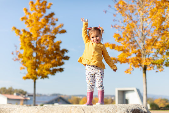 Toddler girl standing on the rock between two yellow trees