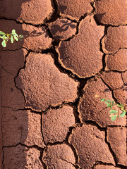 Dry cracked red earth texture